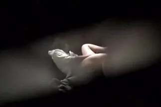 ليست ثقوبًا ، بل ملاجئ كاملة عرب نار سكسي للقضيب