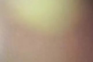 أفضل ما سكسي تركي مدبلج يمكن أن يحدث لك هو الجنس والصيف