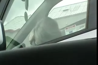 واتضح أن الشاهد أيضًا لا شيء. سكسي رومانسي عربي